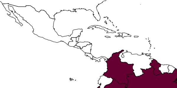 map of Protopolybia amarella     Bequaert, 1944